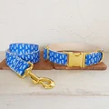 Dog Collar Leash Set