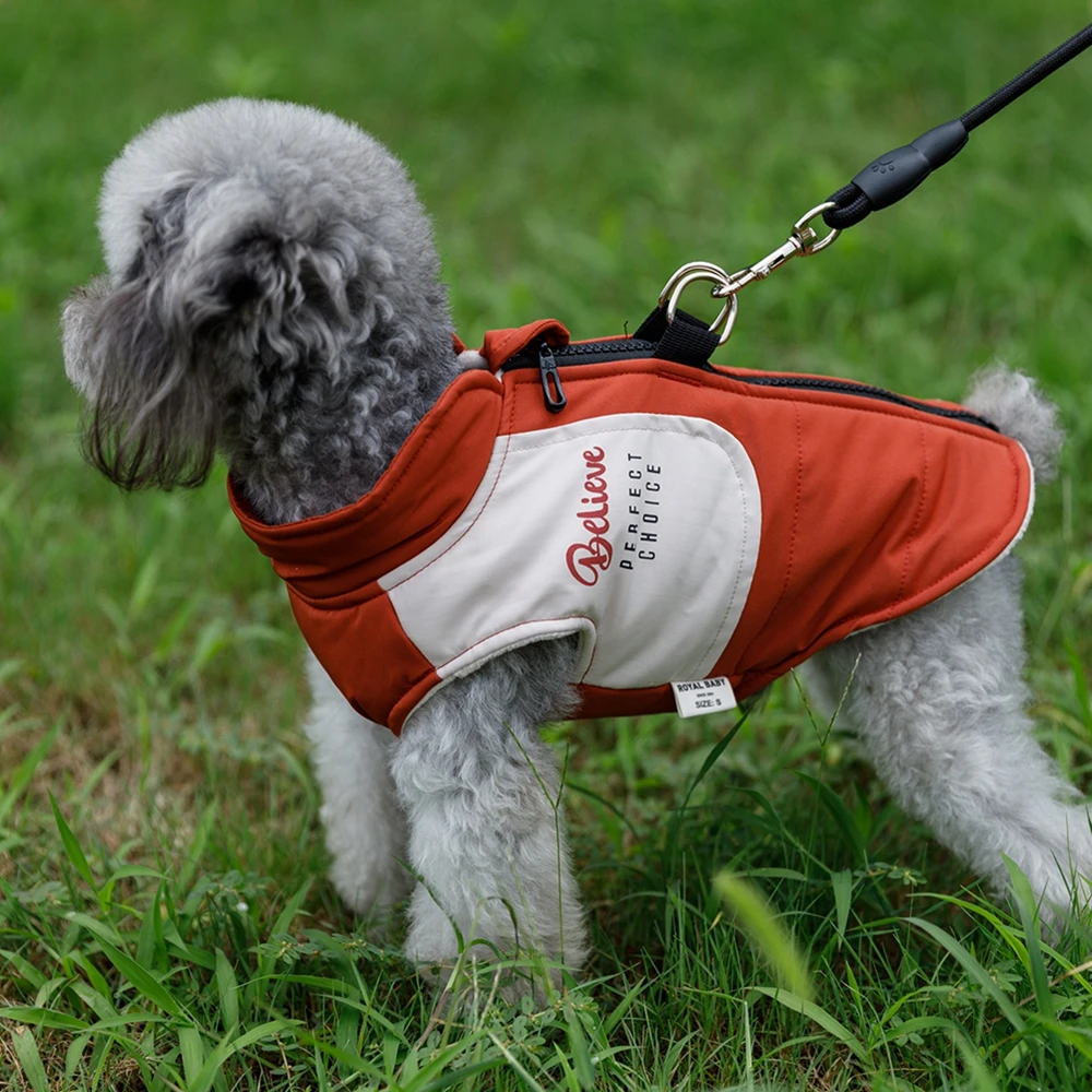 Abrigo impermeable con arnés incorporado para perro, chaqueta con cremallera, ropa para mascotas, perros pequeños, gatos, caminar al aire libre - imagen 2