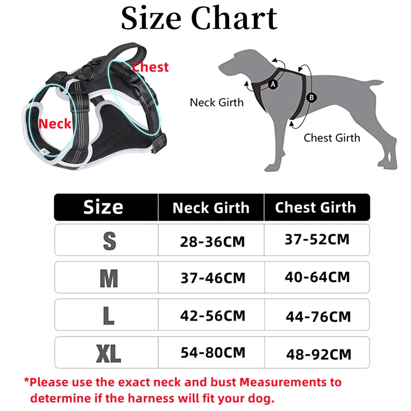 Conjunto de arnés y correa de malla transpirable para perros activos