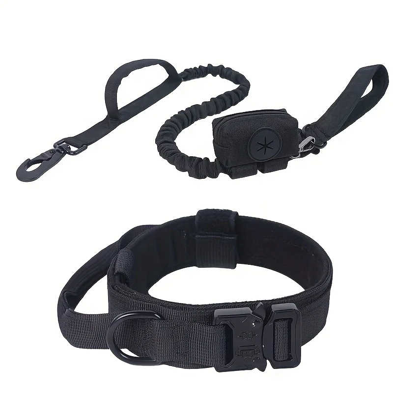 BLACK with Leash