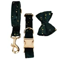 Bow Collar Leash Set