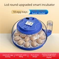 Single power 18 Eggs