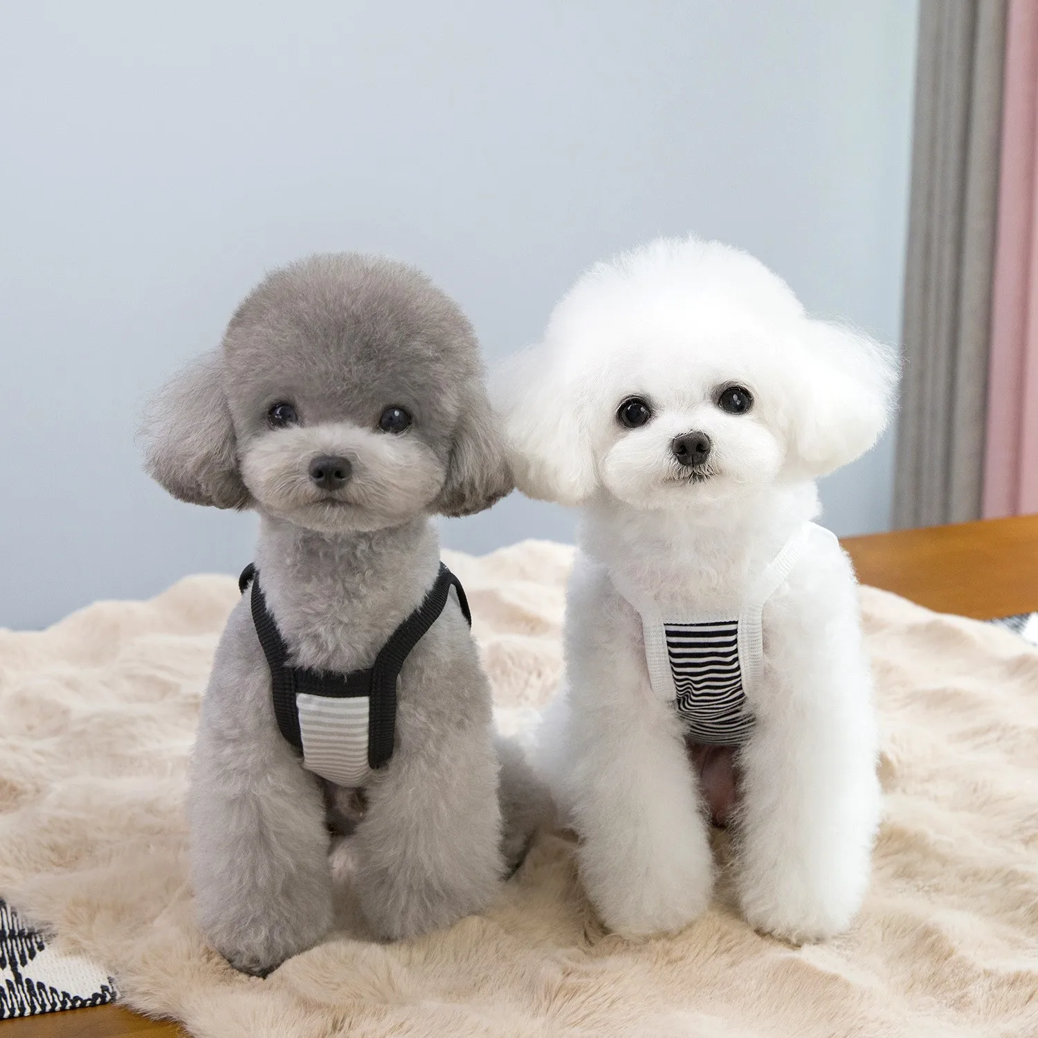 Camisola de primavera para mascotas, chalecos universales finos a rayas para perros y gatos, ropa para perros con osito de peluche, chaleco refrescante para perros y cachorros - imagen 3