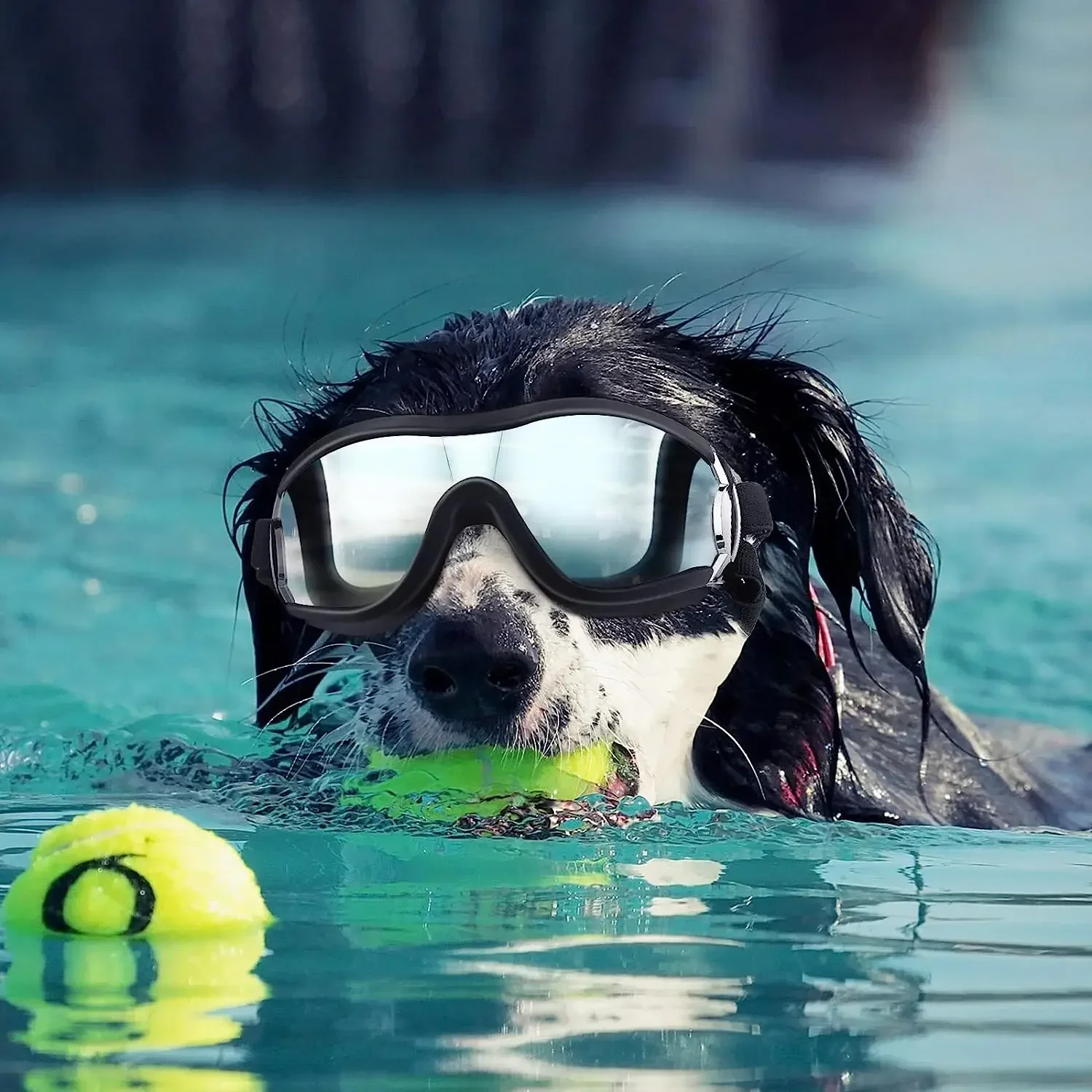 Juego de gafas de sol y casco para mascotas, protección contra el polvo, el viento y los rayos UV, casco y gafas ajustables para perros, casco de motocicleta para perros - imagen 5