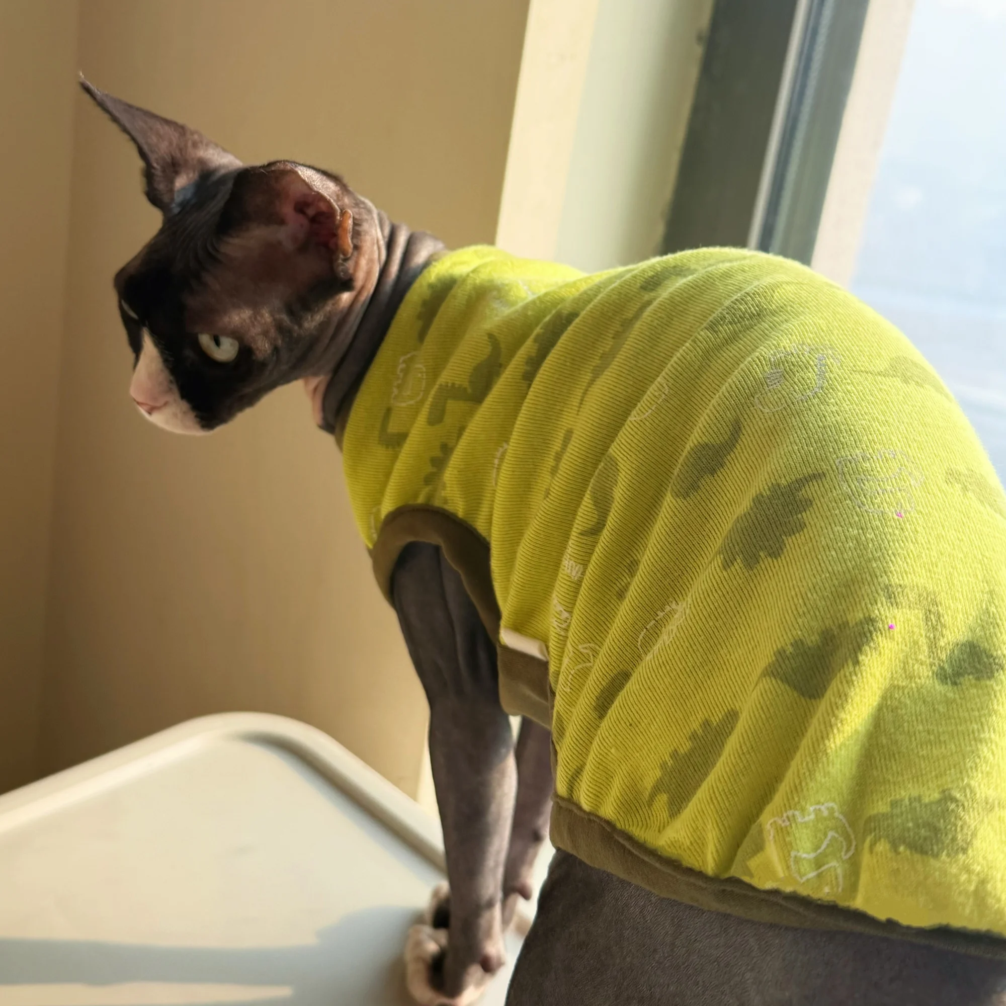 Chaleco de algodón para Sphynx y Devon Rex con diseño dinosaurio - imagen 4
