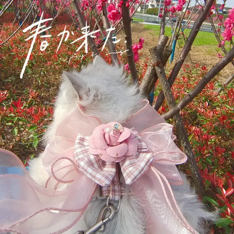 Ins-traje de tracción para perro, cuerda de tracción para el pecho y la espalda con lazo y flores, ropa avanzada de lujo a la moda para caminar - imagen 3