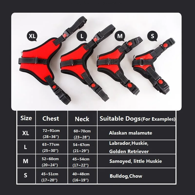 Arnés nailon alta resistencia - Empaque y presentación