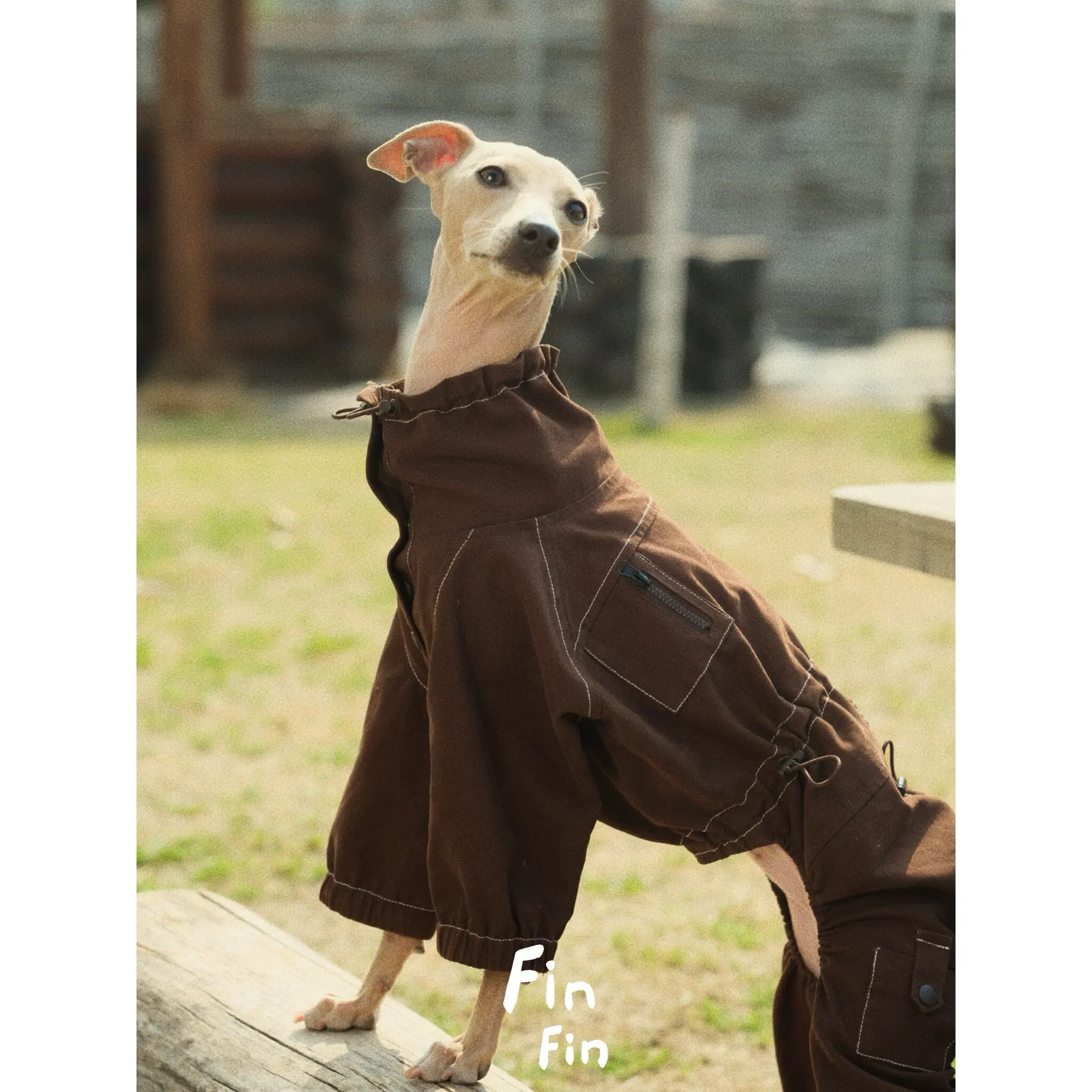 Chaqueta para galgo italiano Whippet cuello alto ajuste - imagen 5