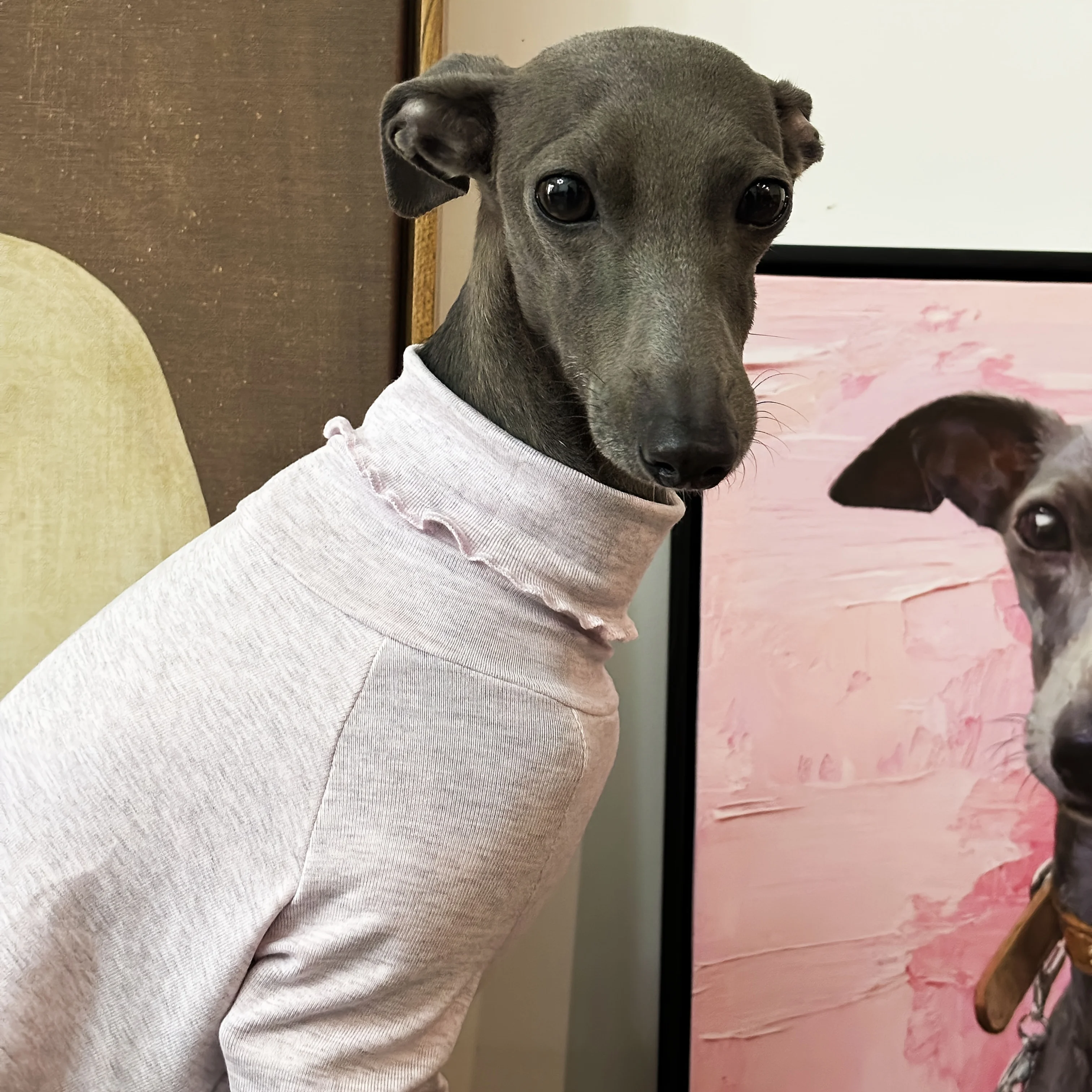 Camiseta elástica de cuello alto para Galgo Italiano – Ropa suave - imagen 4