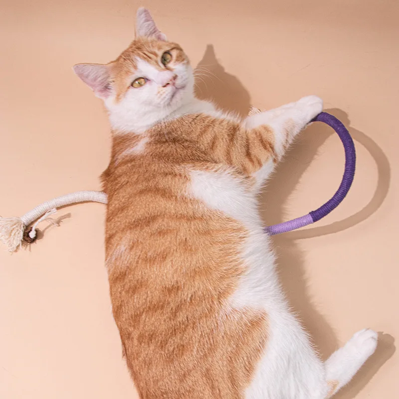 Juguete de cuerda para morder gato, juguete duradero para rechinar los dientes, 1 ud. - imagen 3