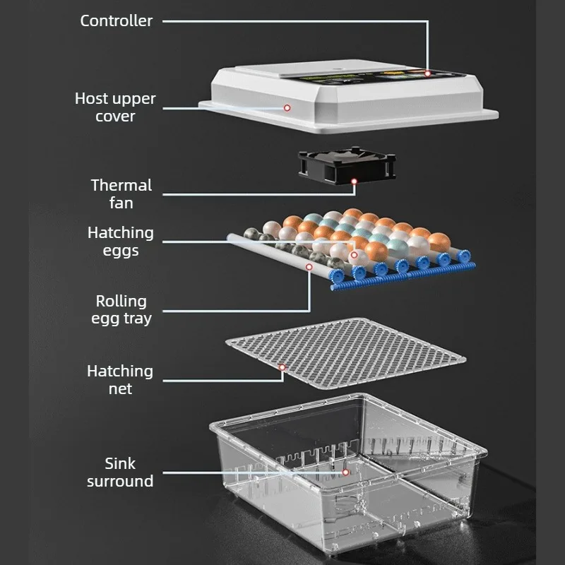 Incubadora automática para huevos de gallina, pato y ganso - imagen 4