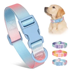 Collar nailon gradiente para perro pequeño y gato – Ajustable y moderno