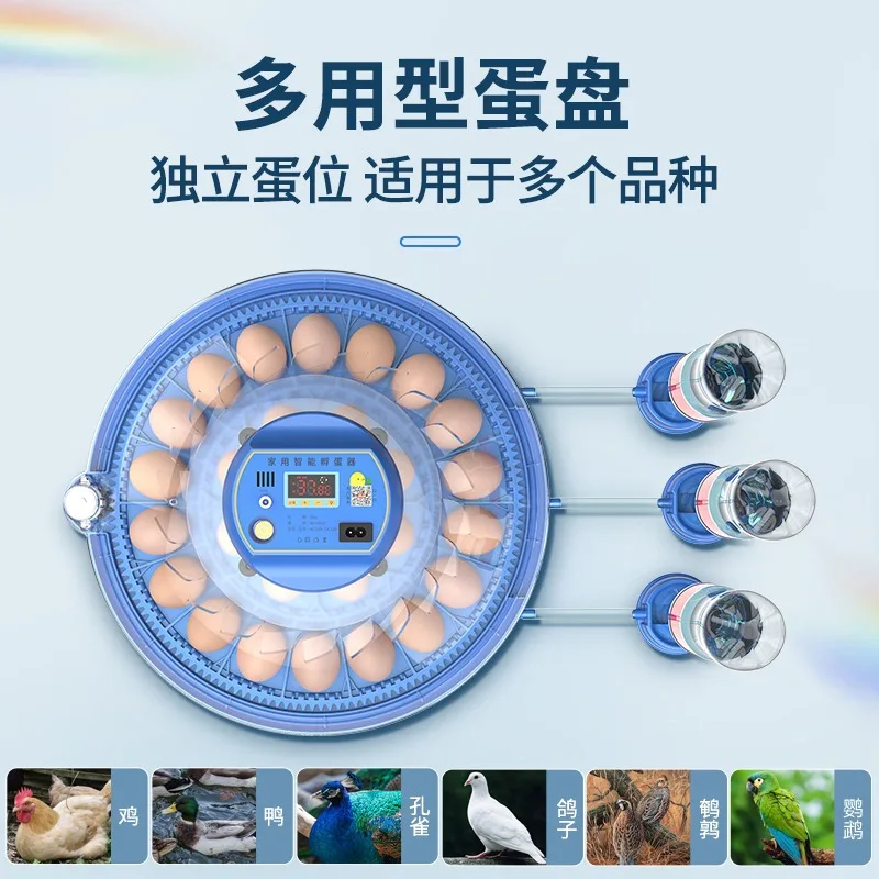 Incubadora doméstica automática pequeña para huevos de loros y aves - imagen 2