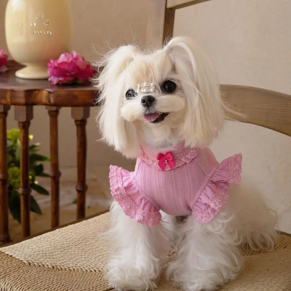 Falda de encaje tejida de princesa para mascotas, camisa inferior con manga voladora para perros, camiseta sin mangas de peluche para gatos, ropa para cachorros de primavera - imagen 2