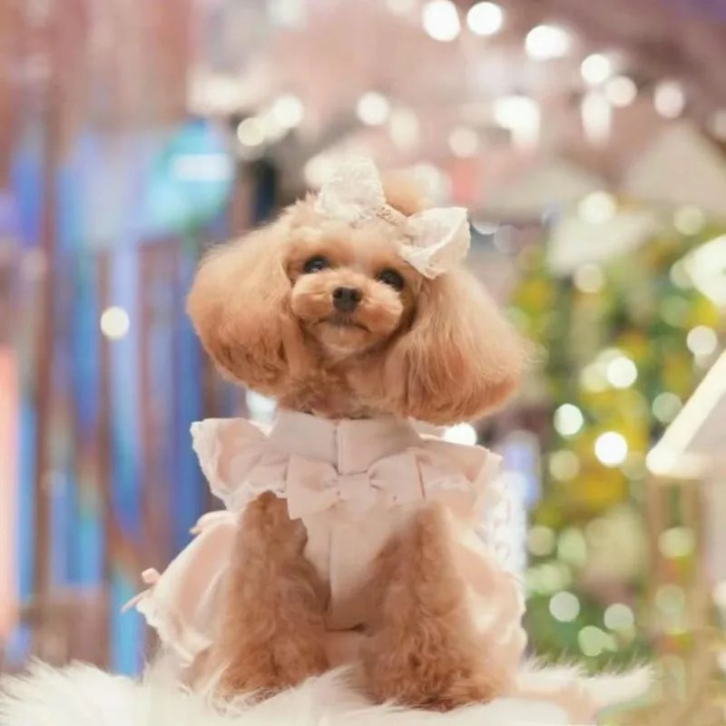 Vestido perro pequeño otoño con lazo mangas voladoras princesa - imagen 4