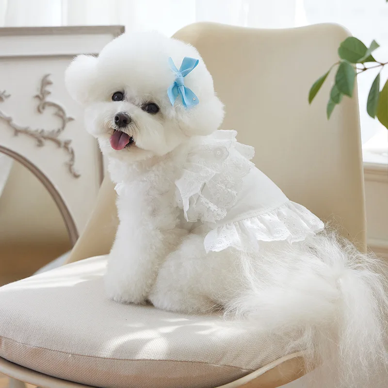 Vestidos blancos para mascotas, falda con tirantes de encaje de verano, camiseta sin mangas para perros y gatos, vestido de encaje para perros pequeños, vestidos para perros pequeños - imagen 4