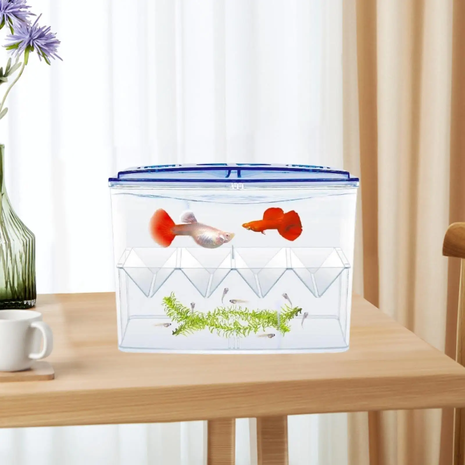 Breeder Box Easy Use Multifunction Sturdy Fish Isolation Box for Baby Fishes