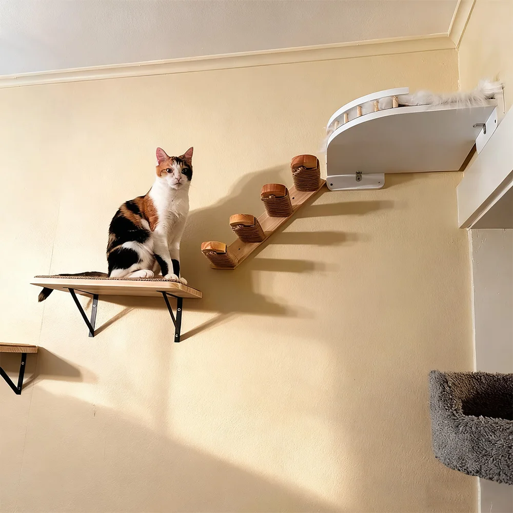 Centro de actividades de pared de madera para gatos, estantes flotantes, escalones para rascar, hamaca colgante y percha, muebles de pared para gatos para escalar y descansar - imagen 3