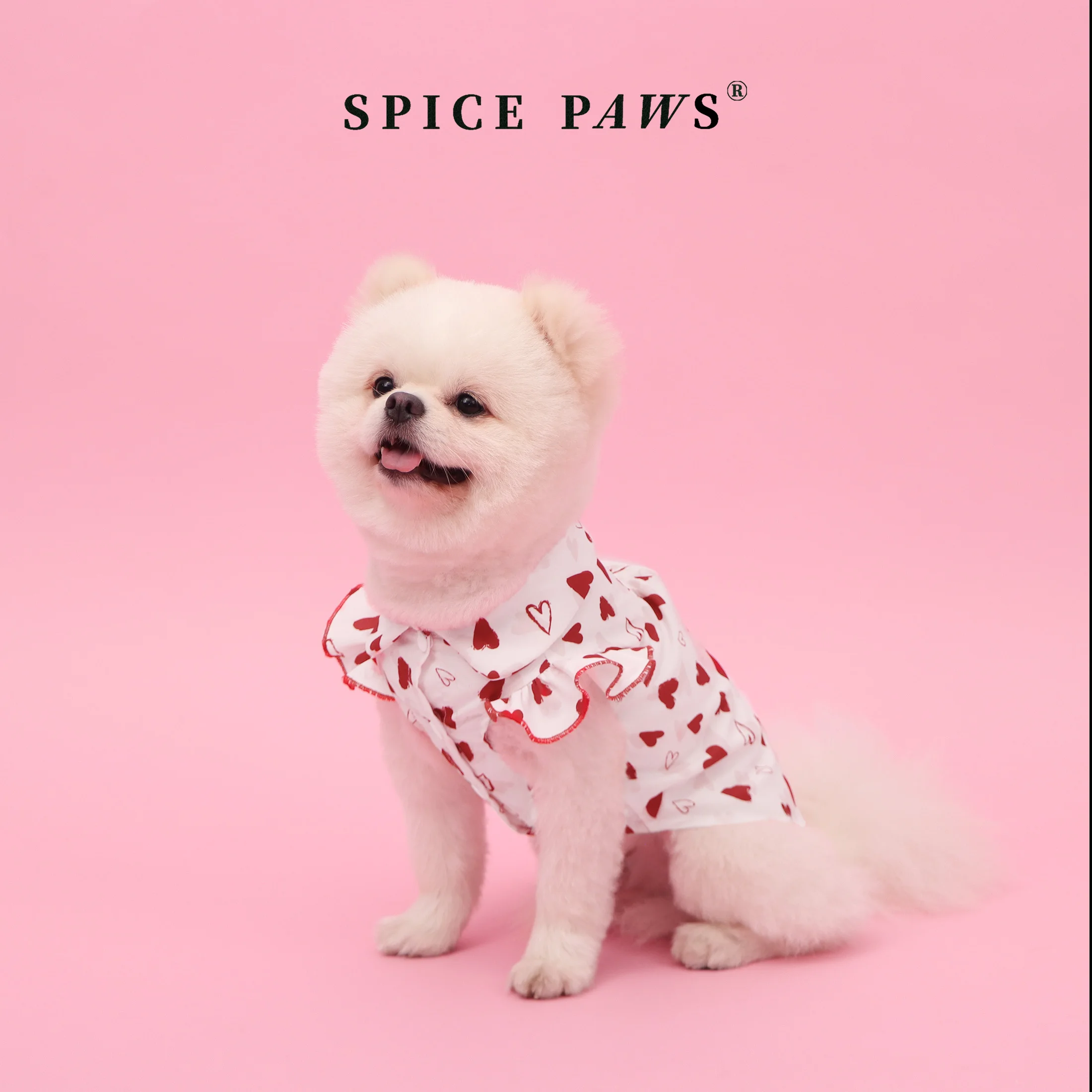 Camiseta con corazón para perros – Jersey temática divertido - imagen 4