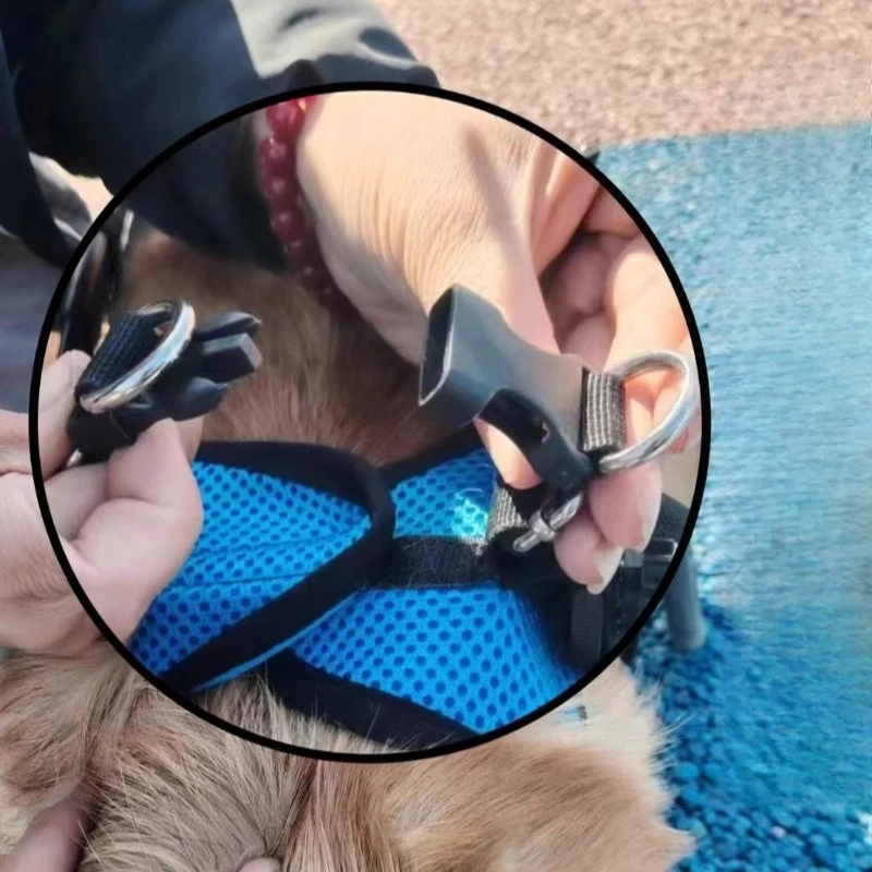Carrito ortopédico de movilidad para perros y gatos con parálisis - imagen 4