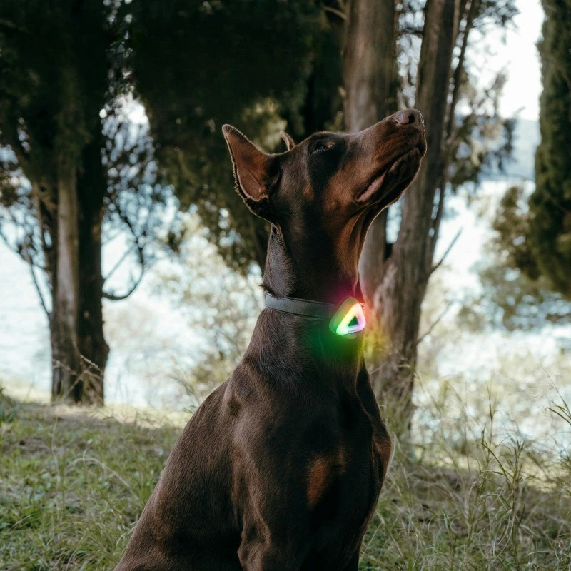 Luz LED de seguridad para perros, luces nocturnas antipérdida para perros, mascotas, cachorros, perros, luz para caminar, suministros de accesorios portátiles para mascotas, gatos y gatitos - imagen 4