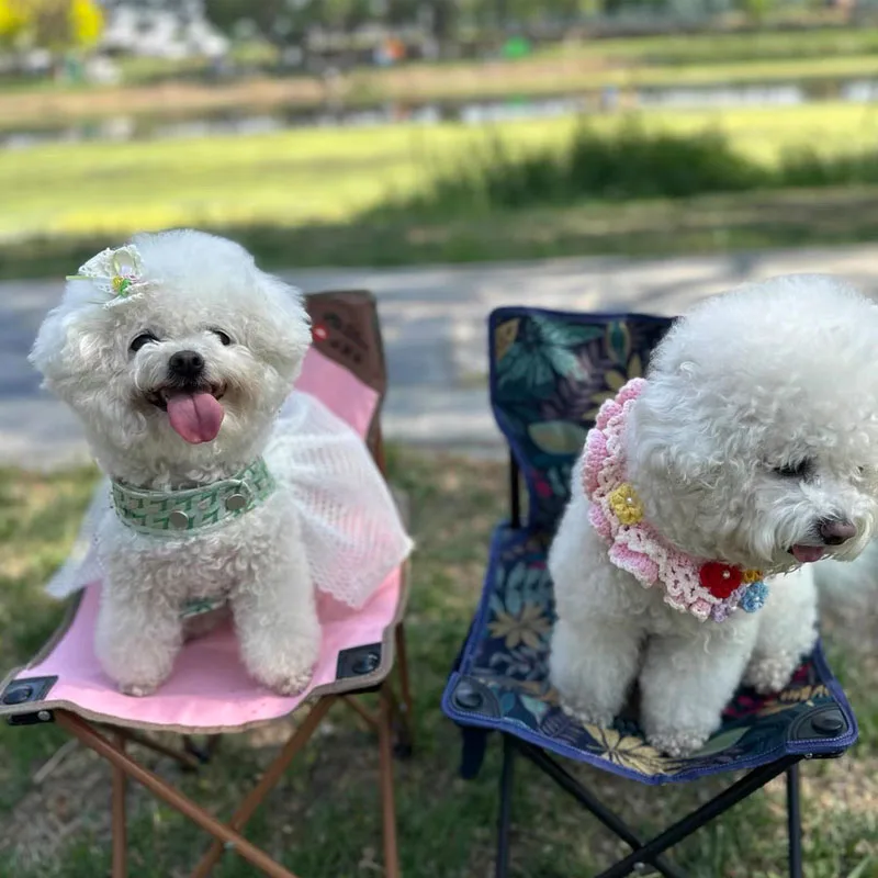 Arnés de malla verde para cachorros de princesa, ropa de verano para perros pequeños, correa para el pecho de perro bonito de lujo para caminar al aire libre, maltés de Pomerania - imagen 3