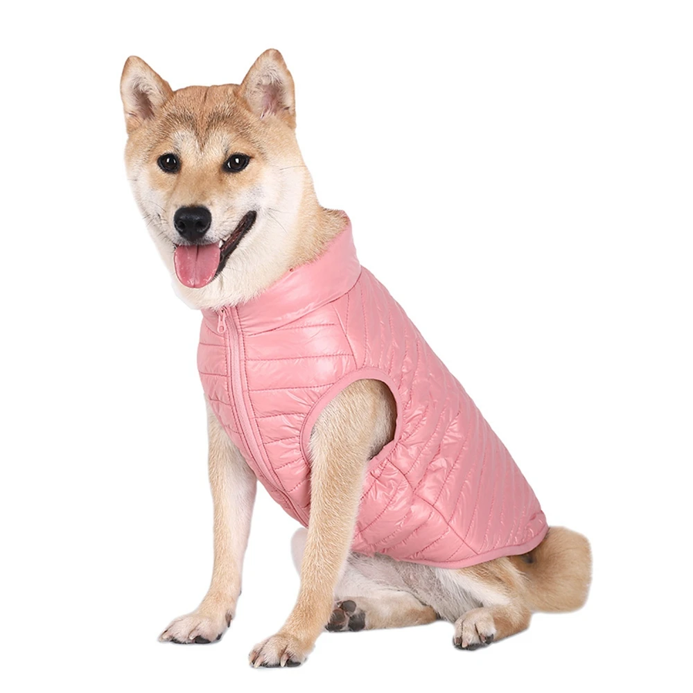 Chaqueta de invierno para perro panDaDa en diferentes colores