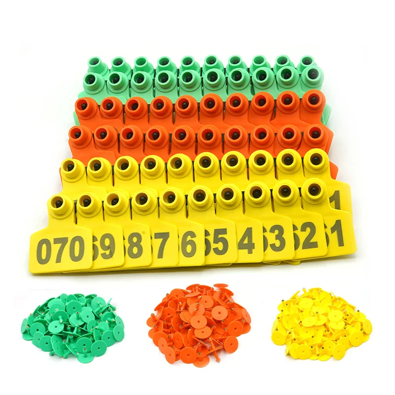 Una pila de números de plástico con los números 1 2, 3, 4, 5, 6, 7, 8, 9, 10, 11, 12, 13, 14, 15, 16, 17, 18, 19, 20, 21, 22 , 23, 24, 25, 26, 27, 28, 29, 30, 31, 32, 33, 34, 35, 36, 37, 38, 39, 40, 41, 42, 43, 44, 45, 46, 47 , 48, 49, 50, 51, 52, 53