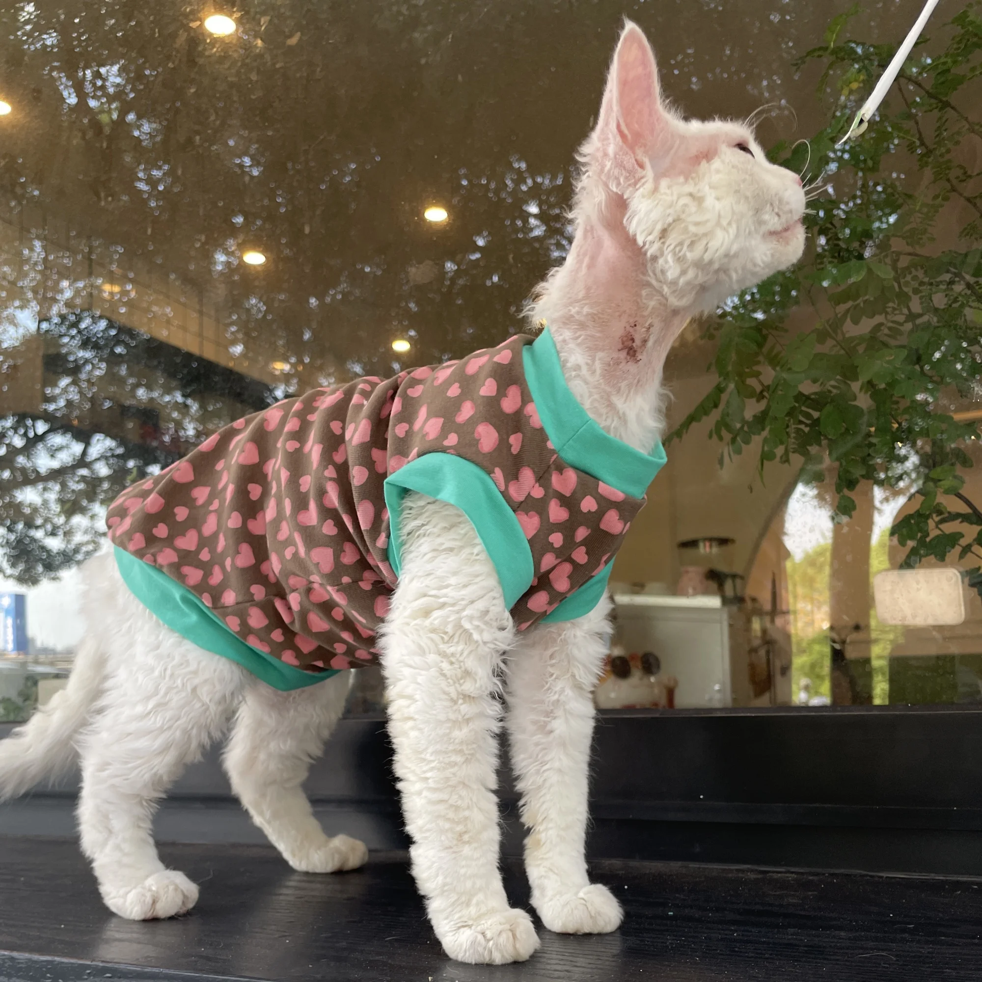Chaleco de algodón ligero de verano para Devon Rax, camiseta con estampado de leopardo rosa suave y agradable para la piel para gato sin pelo, abrigo fino de primavera para mascotas - imagen 5