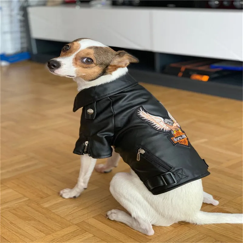 Abrigo para perro con diseño de águila gloriosa, chaqueta de cuero PU, ropa de abrigo suave impermeable para cachorros al aire libre, ropa de moda para mascotas pequeñas (XXS-XXL) - imagen 3