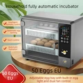 50 Eggs EU