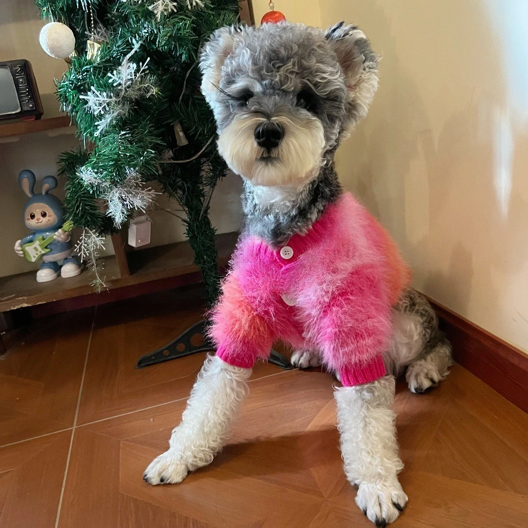 Otoño e Invierno cálido suéter para mascotas cárdigan de punto de felpa gato Schnauzer abrigo de peluche ropa para perros pequeños