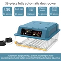 36Eggs dual electric
