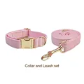 collar and leash set