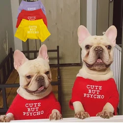 Chaleco verano ligero para Bulldog Francés y Pug – Transpirable