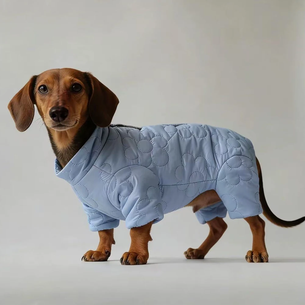 Chaqueta de plumón térmica para perro salchicha, abrigo invernal - imagen 5