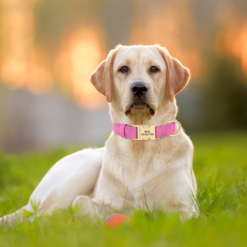 Collar de perro personalizado, collares de cuero PU para perros, collar para mascotas con hebilla de Metal personalizado gratis para perros pequeños, medianos y grandes, Pitbull Bulldog - imagen 5