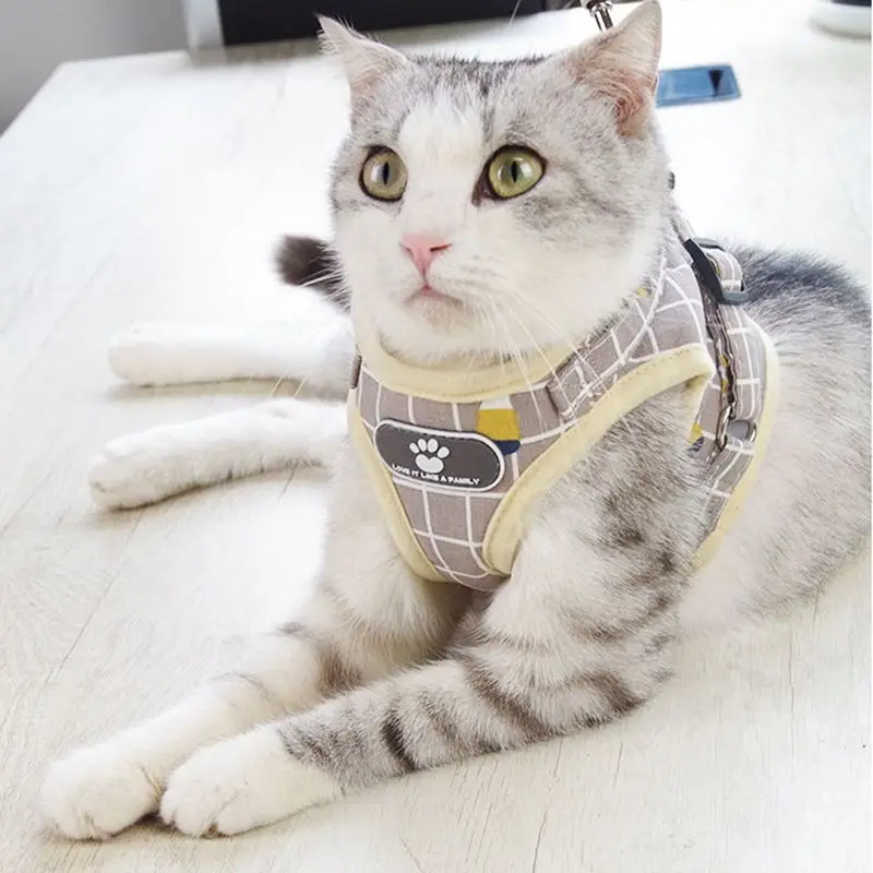 Juego de arnés y correa reflectante para gatos, Accesorios para mascotas, Sphynx - imagen 5