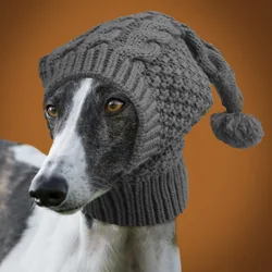 Gorra térmica elástica para Whippet y galgos italianos – Cuello alto antiviento