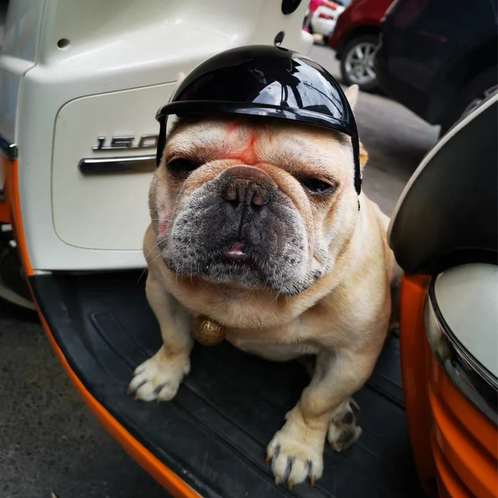 Casco de seguridad para perros pequeños y medianos, Cool, Bulldog Francés, Doberman Pinscher, cascos ajustables para motocicleta, accesorios para mascotas - imagen 5