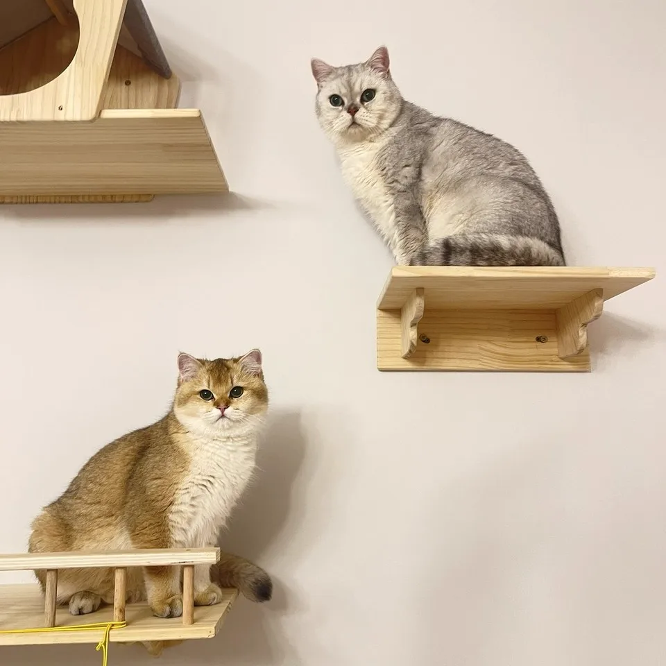 Estantes trepadores con torre de escalada para gato - imagen 2