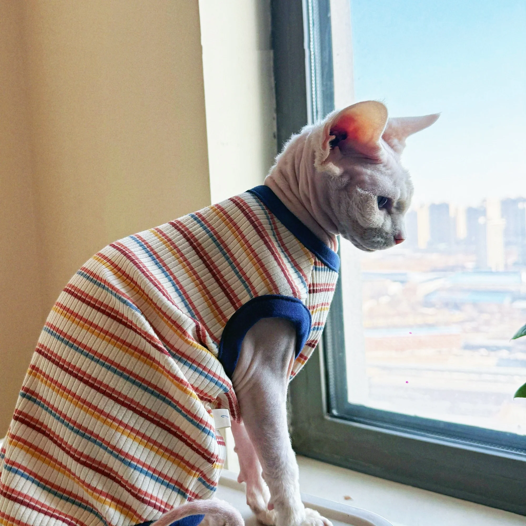 Camiseta para gatos Sphynx y Devon Rex de algodón a rayas sin pelo