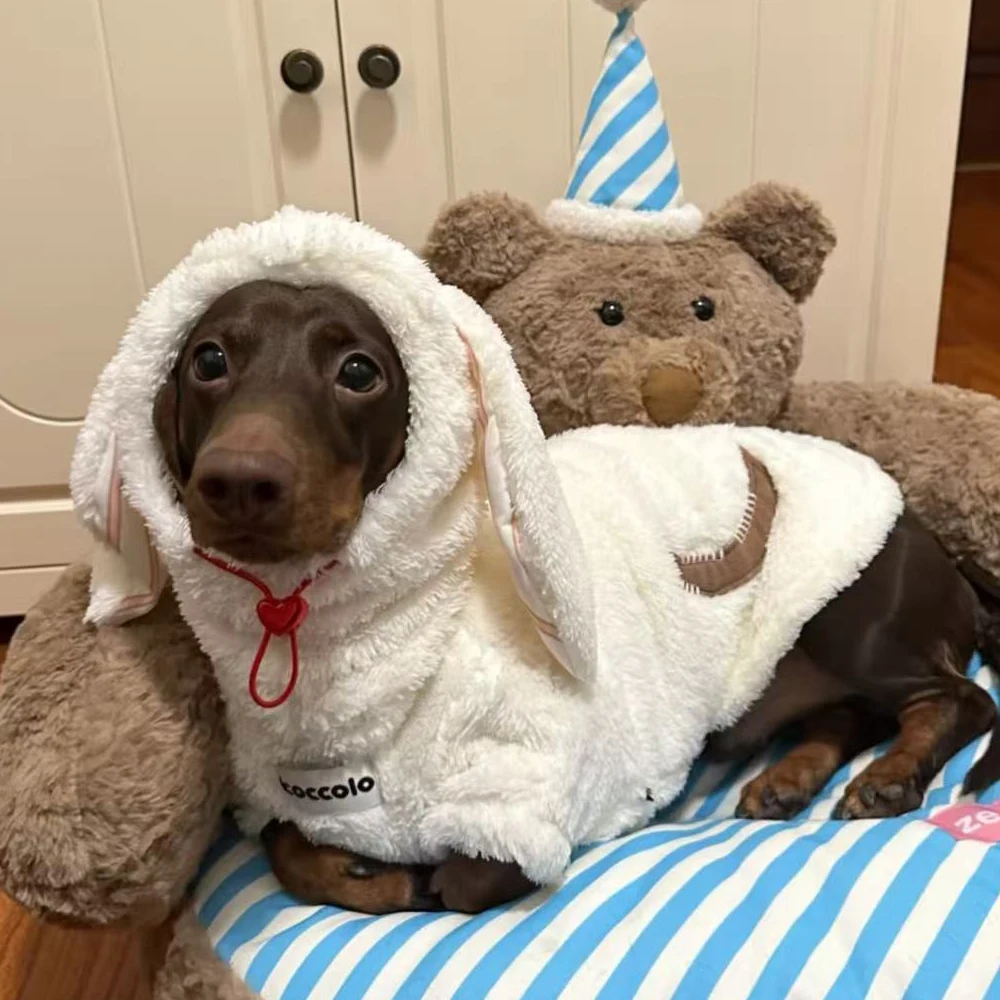 Traje de lana cálido para perros salchicha, cuello alto y mangas largas - imagen 5