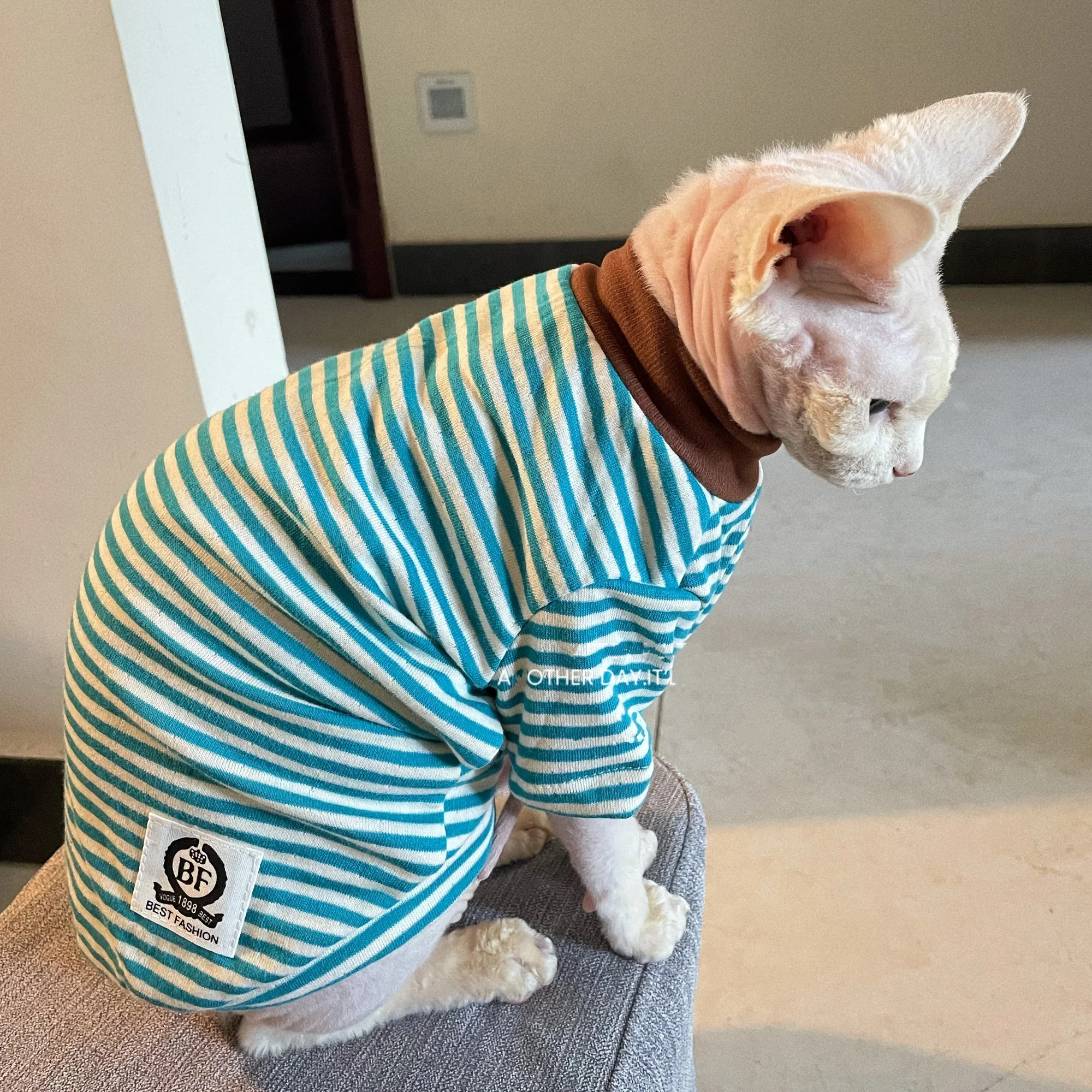 Camiseta algodón rayada azul gato Sphynx Devon Rex pijama de invierno - imagen 4