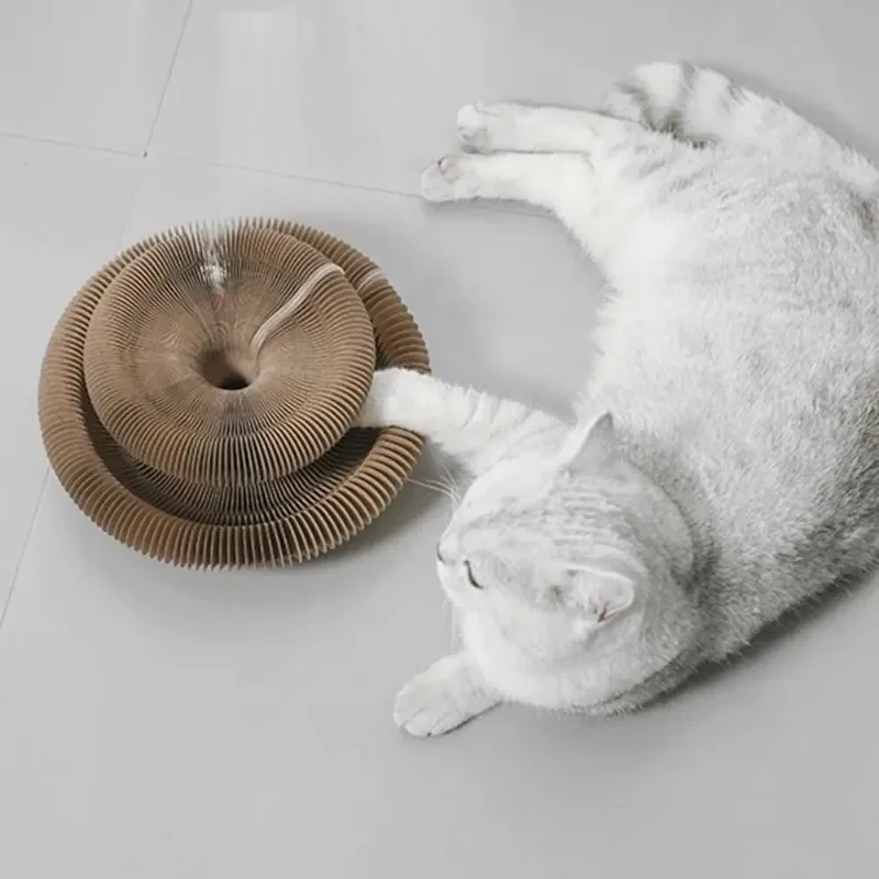 Juguete duradero para gatos, acordeón para gatos, órgano mágico, tablero rascador para gatos, pelota de juguete para gatos, rascador para gatos, gatito Kurlz - imagen 5