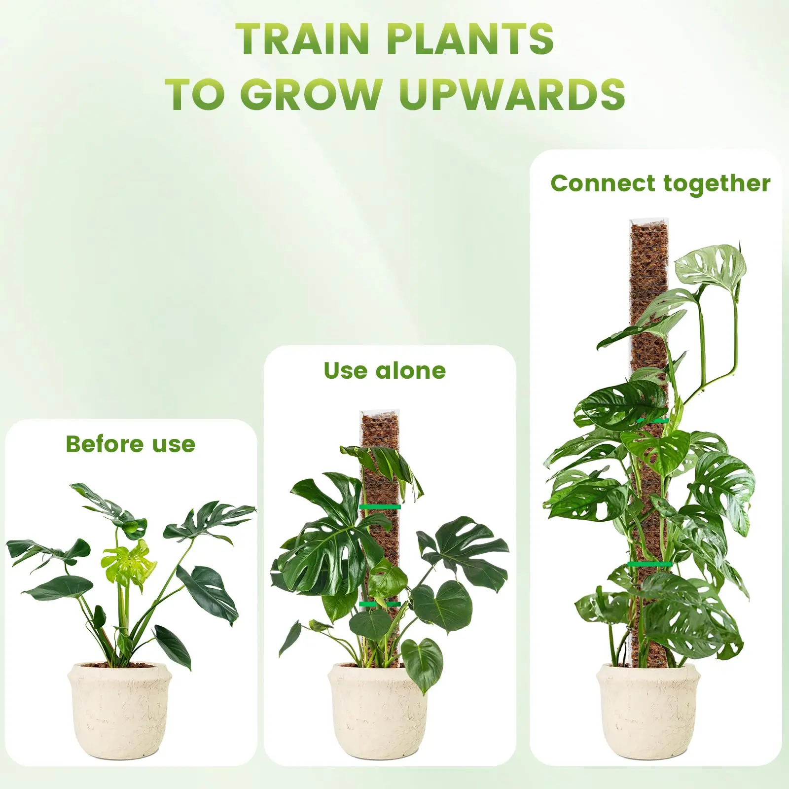 Poste de musgo de plástico de 24/36/48 pulgadas para Monstera, postes grandes en forma de D, plantas trepadoras, trabajo de musgo esfagno, estaca de crecimiento de jardín - imagen 2