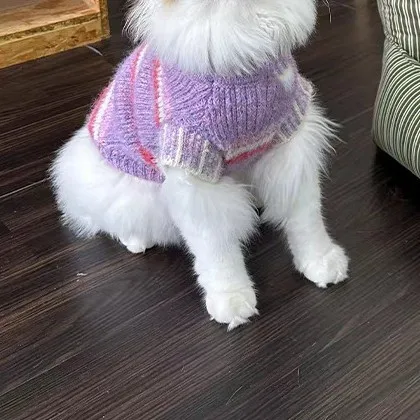 Pet Autumn and Winter Striped Vest Warm High Neck Sweater Small Dog Schnauzer Cat Coat Dog Clothes for Small Dogs - imagen 2