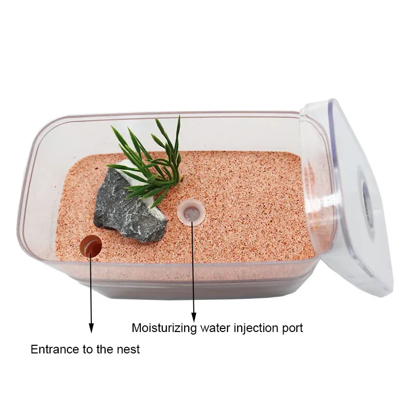 Granja de hormigas de yeso con taller, nido de hormigas altamente hidratante, casa de hormiga de Castillo de Anthil para mascotas con área de alimentación, caja de insectos, 12x6x10cm