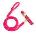 collar leash
