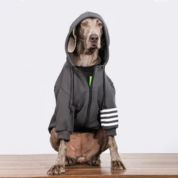 Sudadera con capucha para perros medianos y grandes – Ideal primavera